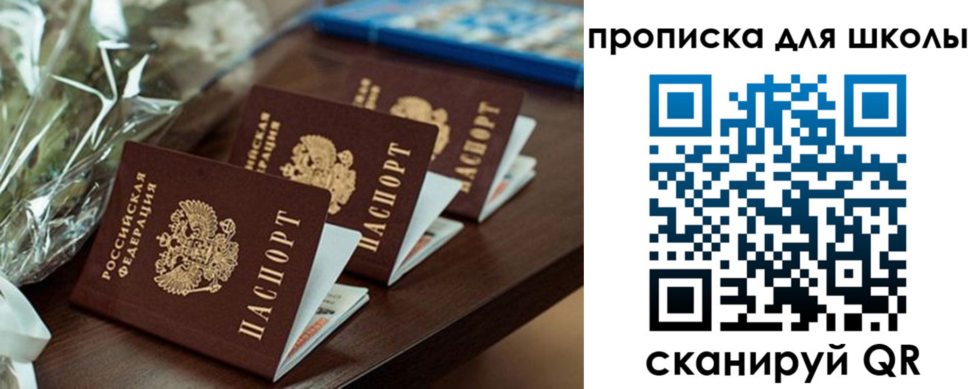 прописка паспорт в Новомосковске